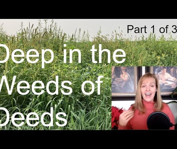 102: Deep in the Weeds of the Deeds